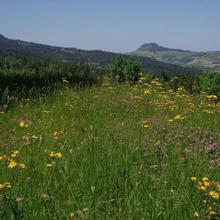 אכסניה Berggasthof Gurnigelbad Ruti bei Riggisberg
