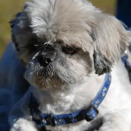 Berggasthof Gurnigelbad * Ruti bei Riggisberg