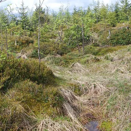 Berggasthof Gurnigelbad *