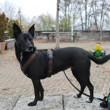 Berggasthof Gurnigelbad Ruti bei Riggisberg
