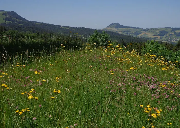 Jaktstuga Berggasthof Gurnigelbad Ruti bei Riggisberg