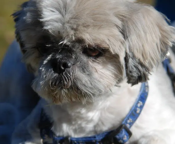 Berggasthof Gurnigelbad * Ruti bei Riggisberg