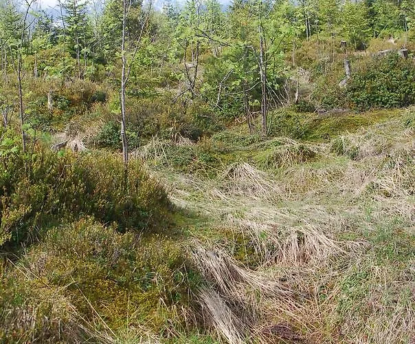 Berggasthof Gurnigelbad *