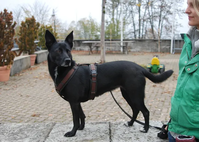 Berggasthof Gurnigelbad Ruti bei Riggisberg
