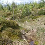Berggasthof Gurnigelbad *