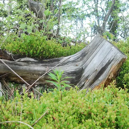 Berggasthof Gurnigelbad *